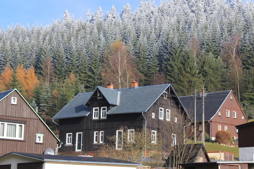 Ferienhaus Anno Dazumal, Wie Zu Oma'S Zeiten Apartment Klingenthal Luaran gambar