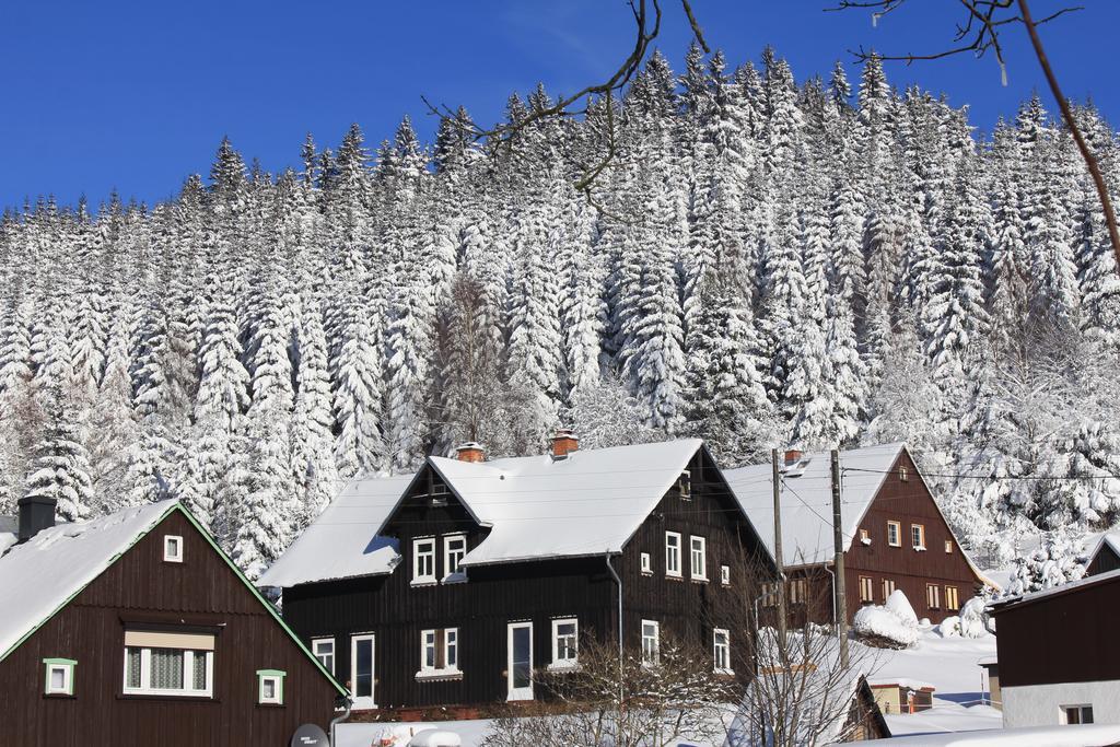 Ferienhaus Anno Dazumal, Wie Zu Oma'S Zeiten Apartment Klingenthal Luaran gambar